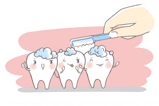 歯周ポケットの正しい磨き方を覚えよう