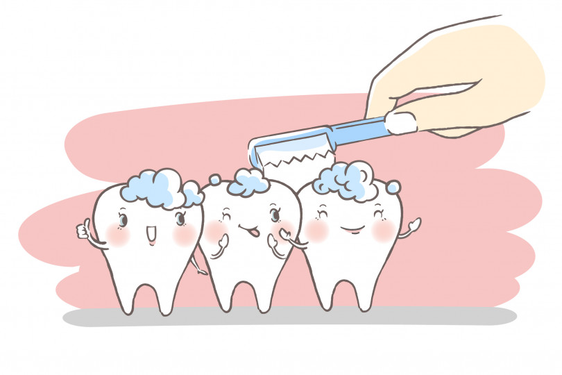 歯周ポケットの正しい磨き方を覚えよう | お口のケアで生涯健康に。ORAL FIRST（オーラルファースト）